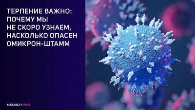 Серия \"Петербургские коты\". «Ангельское терпение». № к-126 – заказать на  Ярмарке Мастеров – 8B8WRRU | Картины, Санкт-Петербург