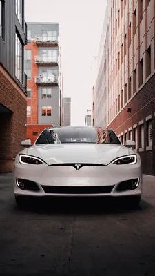 Скачать 1440x2560 tesla model s, tesla, машина, электрокар, белый, вид  спереди обои, картинки qhd samsung galaxy s6, s7, edge, note, lg g4