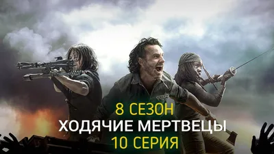 Обои на рабочий стол Все герои сериала The walking dead / Ходячие мертвецы,  второй сезон, обои для рабочего стола, скачать обои, обои бесплатно