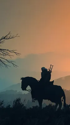 1080x1920 The Witcher 3 Wild Hunt Wallpapers for Android Mobile Smartphone  [Full HD]