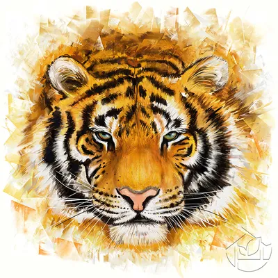 Хороший рисунок морды тигра для татуировки. | Картинка 1024x1157px | Tiger  drawing, Tiger art, Animal drawings