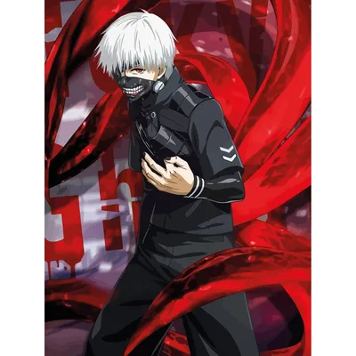 Плакат \"Токийский гуль, Кэн Канэки в маске, Tokyo ghoul\", 60×43см  (ID#810508621), цена: 190 ₴, купить на Prom.ua