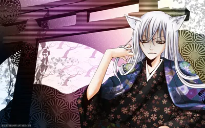 Tomoe (Kamisama Kiss) wallpapers for desktop, download free Tomoe (Kamisama  Kiss) pictures and backgrounds for PC | mob.org