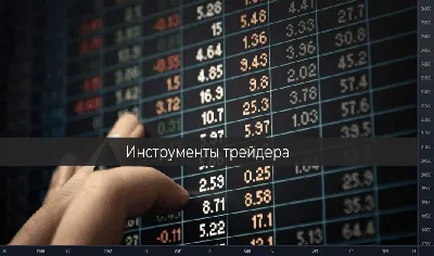 Sema.trade Обучение по трейдингу Бишкек