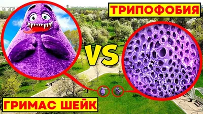 У кого трипофобия, эту картинку не смотреть! - ЯПлакалъ