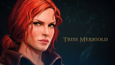 The Witcher Adventure game art Triss | The witcher game, The witcher, Triss  merigold