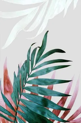 palm leaves #green | Botanical poster, Plant leaves, Plant print