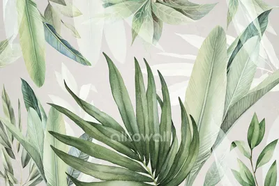 Pin by MARCIO costa on TSHIRT | Leaf wallpaper, Plant wallpaper, Tropical  wallpaper