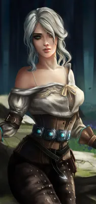 Mobile wallpaper: Video Game, White Hair, Woman Warrior, The Witcher, The  Witcher 3: Wild Hunt, Ciri (The Witcher), 1190763 download the picture for  free.