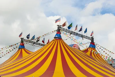 https://www.circus-nnovgorod.ru/