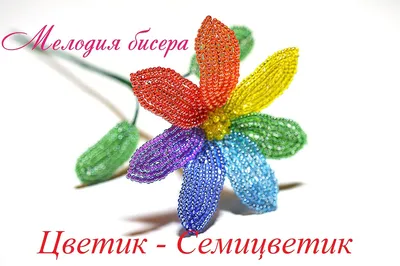 Цветик-семицветик