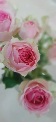 3D Flower Wallpaper для Android — Скачать