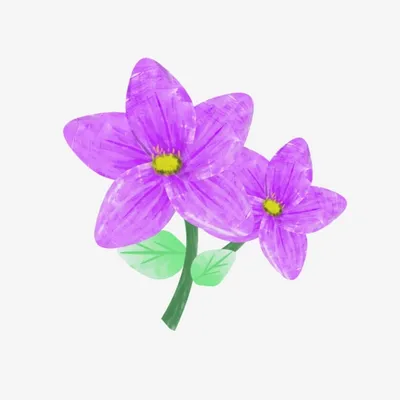 нарисованные цветы карандашом - Поиск в Google | Lilies drawing, Flower  drawing, Drawings