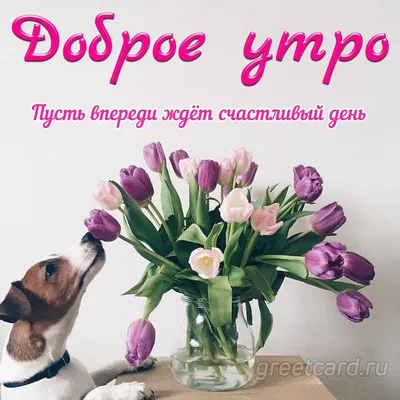 Доброе утро. Кофе. Цветы. | Кофе, Цветы, Открытки