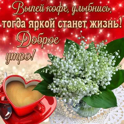 цветы#розы#сдобрымутром | TikTok