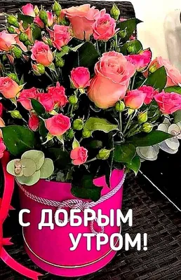 Доброе Утро любимым! 🌹 | Красивые розы, Праздничные открытки, Доброе утро