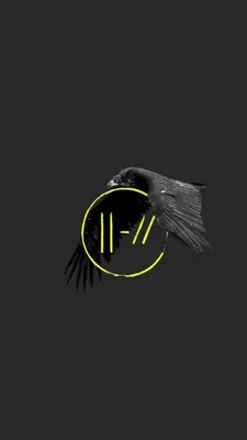 Twenty one pilots, scaled and icy, scaledandicy, shy away, twentyonepilots,  HD phone wallpaper | Peakpx