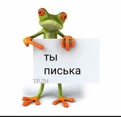 Ты Картинка