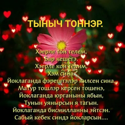 Тыныч тоннэр - фото - pictx.ru