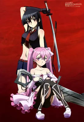 Akame Ga Kill! Phone Wallpapers