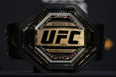 UFC PPV: How Much is the UFC 295 PPV? | Digital Trends