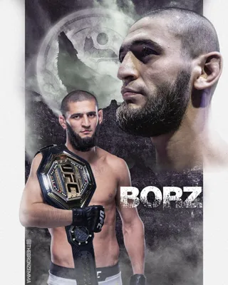 KhabibTheEagle666, Mma, Ufc, The Eagle, Khabib nurmagomedov, HD phone  wallpaper | Peakpx