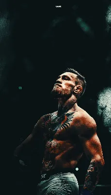 UFC Wallpapers: Alex Pereira Edition Will the former kickboxer win the... |  TikTok