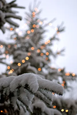 Winterstimmung. | Christmas phone wallpaper, Winter wallpaper, Cute  christmas wallpaper