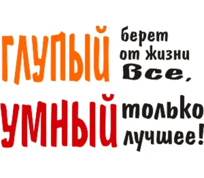 Умные статусы про жизнь короткие - 📝 Афоризмо.ru