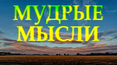 Цитаты со смыслом - Комиссаров Эдуард Михайлович | 💡 Умные люди полны  сомнения. ✨ ❝ Комиссаров Эдуард Михайлович Цитаты со смыслом ❞ | Дзен