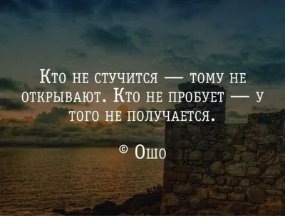 Цитаты великих людей: от Сальвадора Дали до Киану Ривза