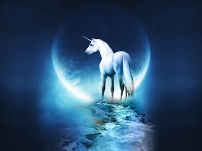 Download \"Unicorns\" wallpapers for mobile phone, free \"Unicorns\" HD pictures