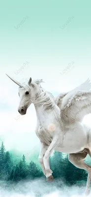 1080x1920 Unicorn Wallpapers for Android Mobile Smartphone [Full HD]