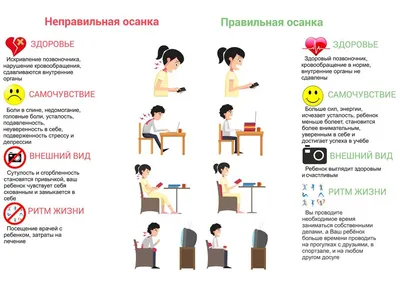 Упражнения при грыже поясничного отдела позвоночника