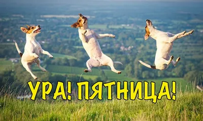 Ура , пятница !!! | Поздравления, пожелания, открытки с Рождеством! |  ВКонтакте