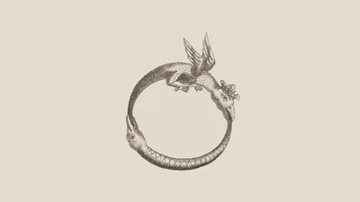 Ouroboros Wallpapers - Top Free Ouroboros Backgrounds - WallpaperAccess