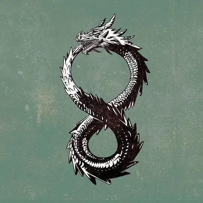 Ouroboros Wallpapers - Top Free Ouroboros Backgrounds - WallpaperAccess