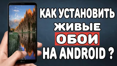 Как установить видео в качестве обоев на телефоне Samsung