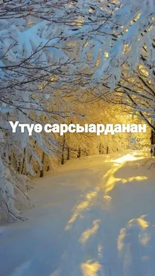 Үтүө сарсыарданан