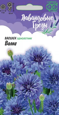 Семена Прочие Товары Василек Холодок (расфасовано ССО) – купить онлайн,  каталог товаров с ценами интернет-магазина Лента | Москва, Санкт-Петербург,  Россия