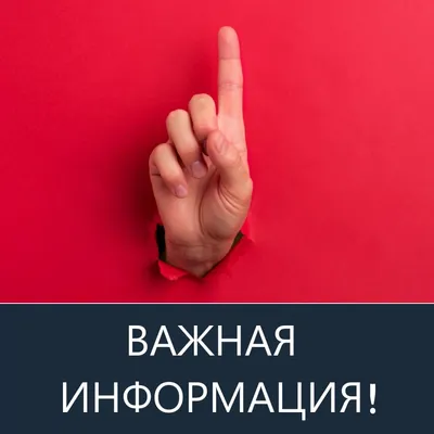 Важная информация! - Объявления - Новости, объявления, события -  Администрация города Невинномысска