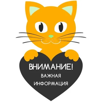 Важная информация! - Администрация города Дзержинска