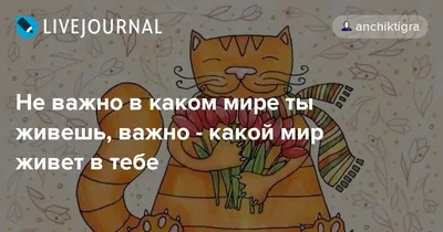 Что важно знать о ВИЧ? — БУЗ ВО Великоустюгская ЦРБ