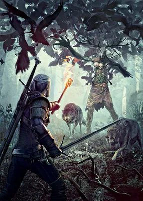 Image The Witcher 3: Wild Hunt Swords Wolves Geralt of Rivia monster