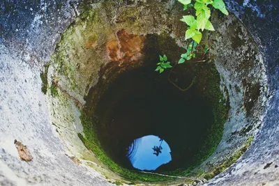 Wishing Well public art