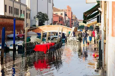 В Венеции из-за отливов и засухи резко упал уровень воды в каналах | Forbes  Life