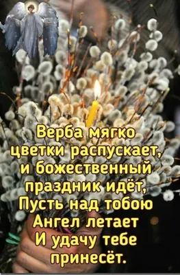 Вербное воскресенье 9 апреля: красивые картинки и душевные поздравления с  праздником - МК Новосибирск