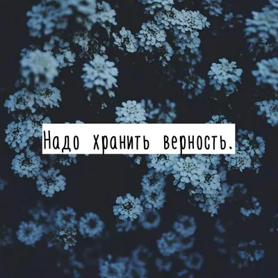 В наше время верность - это такая редкость... - Я ТЕБЯ ЛЮБЛЮ, №2567745505 |  Фотострана – cайт знакомств, развлечений и игр