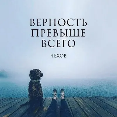 Верность. | Эстетика книг Amino Amino