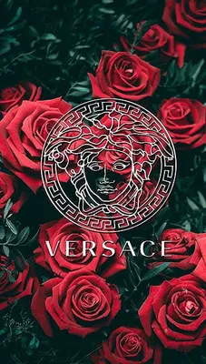 Металлическая наклейка-стикер VERSACE, на телефон, автомобиль купить по  цене 319 ₽ в интернет-магазине KazanExpress